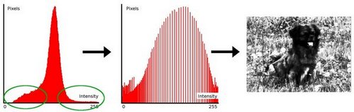 ../../../../../_images/Histogram_Equalization_Theory_1.jpg